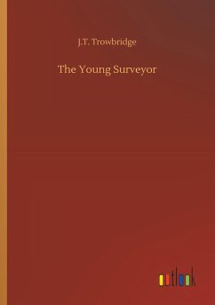 The Young Surveyor