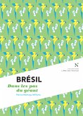Brésil : Dans les pas du géant (eBook, ePUB)