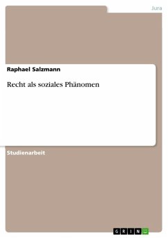 Recht als soziales Phänomen (eBook, ePUB)