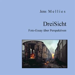 DreiSicht (eBook, ePUB)