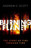 Burning Planet (eBook, ePUB)