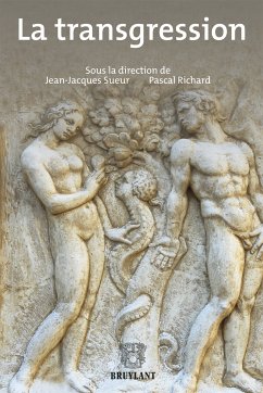 La Transgression (eBook, ePUB)