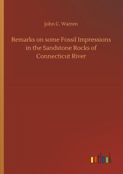 Remarks on some Fossil Impressions in the Sandstone Rocks of Connecticut River