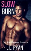 Slow Burn (eBook, ePUB)