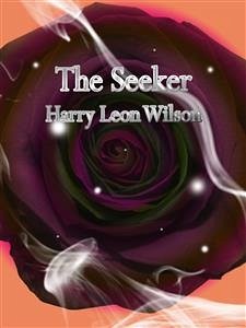The Seeker (eBook, ePUB) - Leon Wilson, Harry
