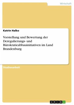 Vorstellung und Bewertung der Deregulierungs- und Bürokratieabbauinitiativen im Land Brandenburg (eBook, ePUB)