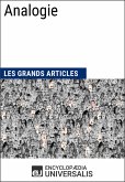 Analogie (eBook, ePUB) Analogie (eBook, ePUB)