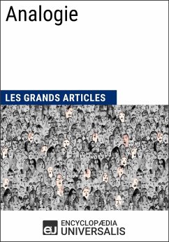 Cover Analogie (eBook, ePUB)