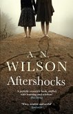 Aftershocks (eBook, ePUB)
