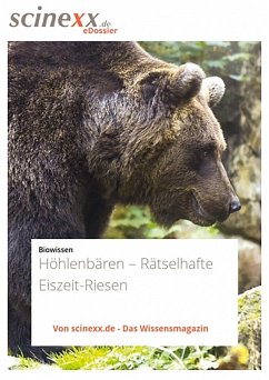 Höhlenbären (eBook, ePUB) - Lohmann, Dieter
