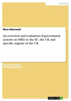 An overview and evaluation of government actions on SMEs in the EU, the UK and specific regions of the UK (eBook, ePUB)