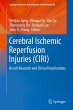 Cerebral Ischemic Reperfusion Injuries... - Bild 1
