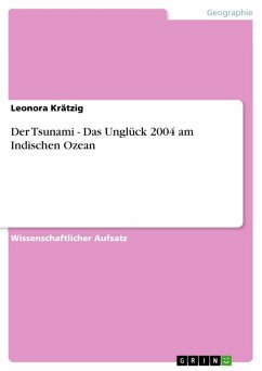 Der Tsunami - Das Unglück 2004 am Indischen Ozean (eBook, ePUB)