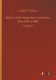 History of the Negro Race in America from 1619 to 1880