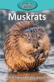 Muskrats