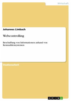 Webcontrolling (eBook, ePUB)