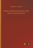 Deadwood Dick Jr. Branded or Red Rover at Powder Pocket