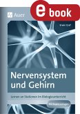 Nervensystem und Gehirn (eBook, PDF)