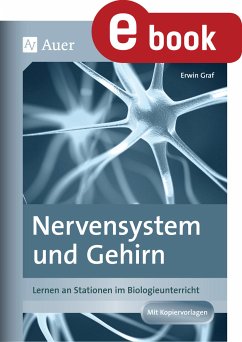 Nervensystem und Gehirn (eBook, PDF) - Graf, Erwin