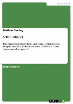 Schattenbilder (eBook, ePUB) - Seeling, Mathias