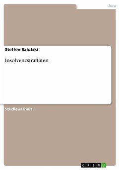 Insolvenzstraftaten (eBook, ePUB) - Salutzki, Steffen