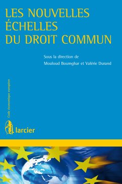 Les nouvelles échelles du droit commun (eBook, ePUB)