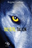 102.670, Talion (eBook, ePUB)