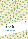 Israël : Les blessures d'un destin (eBook, ePUB)