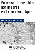 Processus irréversibles non linéaires en thermodynamique (eBook, ePUB)