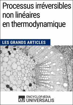 Processus irréversibles non linéaires en thermodynamique (eBook, ePUB) - Encyclopaedia Universalis