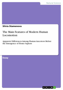 The Main Features of Modern Human Locomotion (eBook, PDF) - Stamenova, Silvia