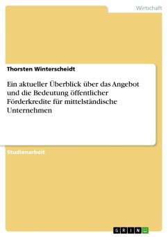 Ein aktueller Überblick über das Angebot und die Bedeutung öffentlicher Förderkredite für mittelständische Unternehmen (eBook, ePUB) - Winterscheidt, Thorsten