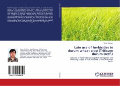 Late use of herbicides in durum wheat crop (Triticum durum Desf.)