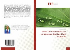 Effets Du Koutoukou Sur La Mémoire Spatiale Chez La Souris - Diboh, Emmanuel