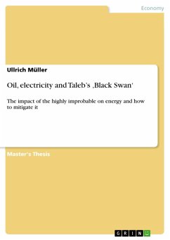 Oil, electricity and Taleb's ,Black Swan' (eBook, ePUB)