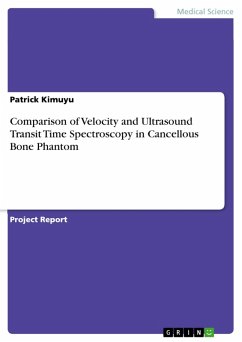 Comparison of Velocity and Ultrasound Transit Time Spectroscopy in Cancellous Bone Phantom (eBook, PDF)
