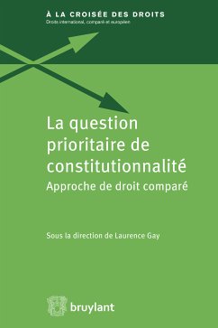 La question prioritaire de constitutionnalité (eBook, ePUB)