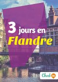 3 jours en Flandre (eBook, ePUB)