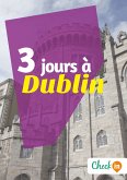 3 jours à Dublin (eBook, ePUB)