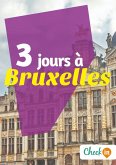 3 jours à Bruxelles (eBook, ePUB)