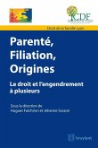 Parenté, filiation, origine (eBook, ePUB)