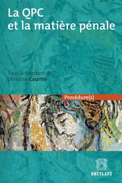 La QPC et la matière pénale (eBook, ePUB)