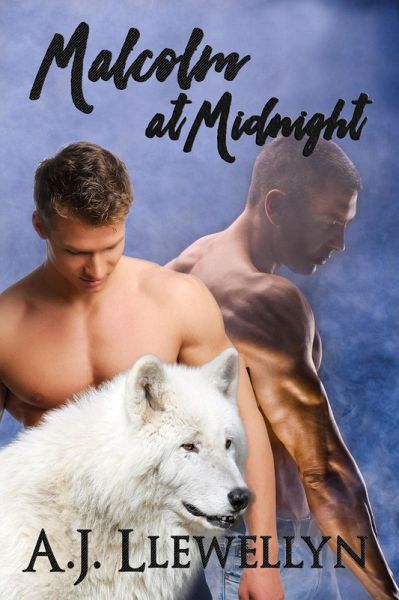 Malcolm at Midnight (eBook, ePUB)