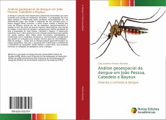Análise geoespacial da dengue em João Pessoa, Cabedelo e Bayeux