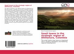 Small towns in the strategic region of Altillanura, Colombia - Romero Aguirre, María Fernanda