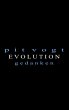 Evolution (eBook, ePUB) - Bild 1
