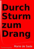 Durch Sturm zum Drang (eBook, ePUB)