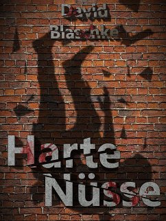 Harte Nüsse (eBook, ePUB) - Blaschke, David