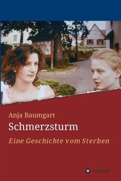Schmerzsturm (eBook, ePUB) - Baumgart, Anja