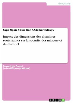 Impact des dimensions des chambres souterraines sur la securite des mineurs et du materiel (eBook, PDF) - Ngoie, Sage; Kon, Dina; Mbuyu, Adalbert